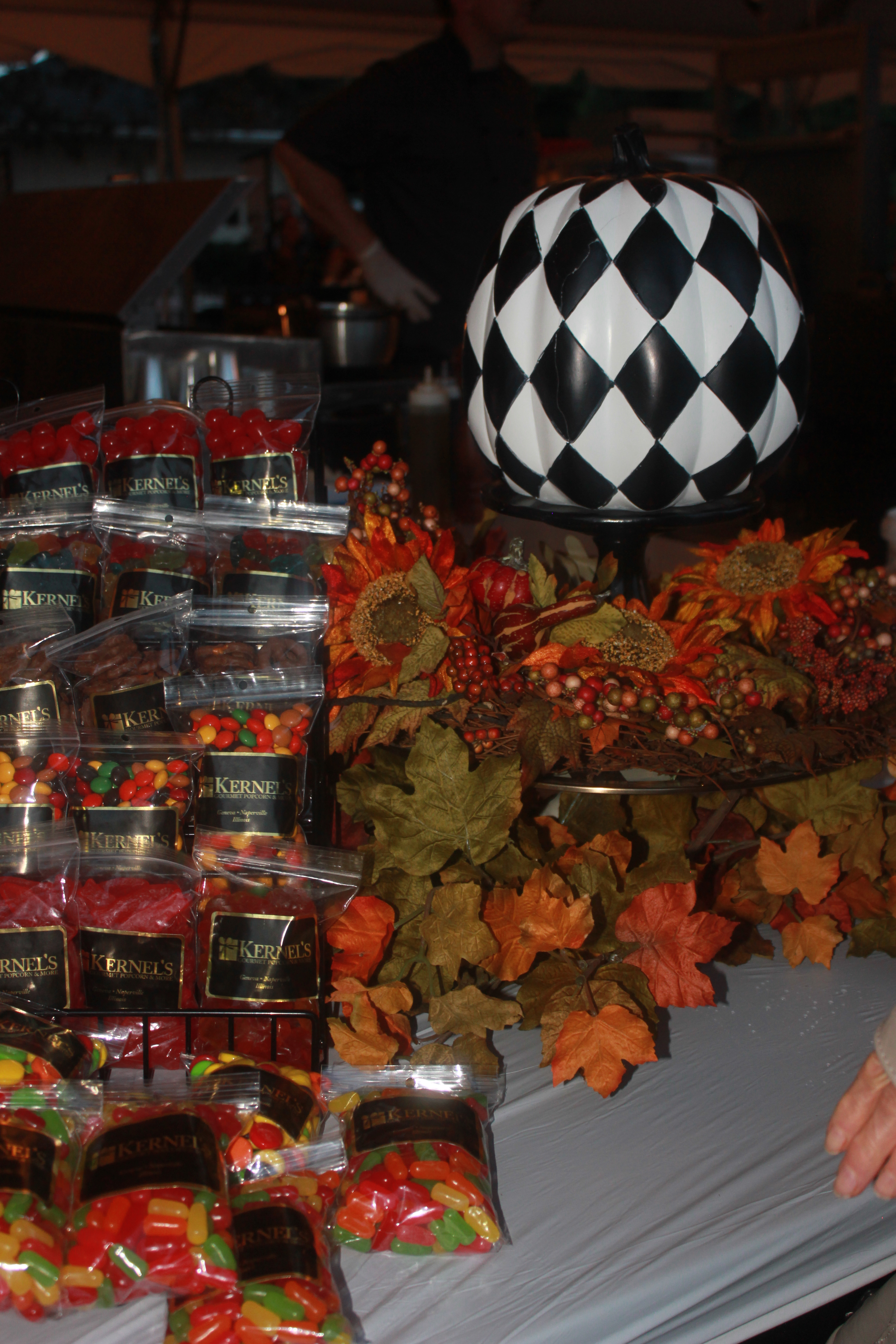 Festival of the Vine 2016 237